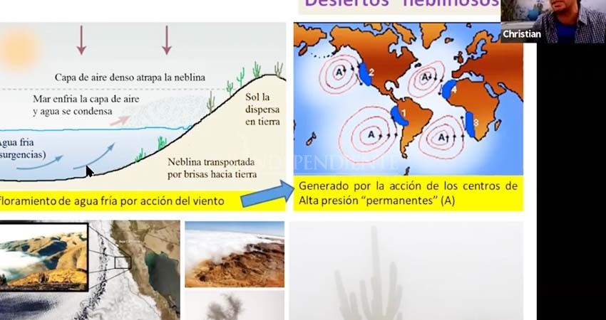 Atiende UABCS problemas sociales y ambientales a través de la investigación Atiende UABCS problemas sociales y ambientales a través de la investigación