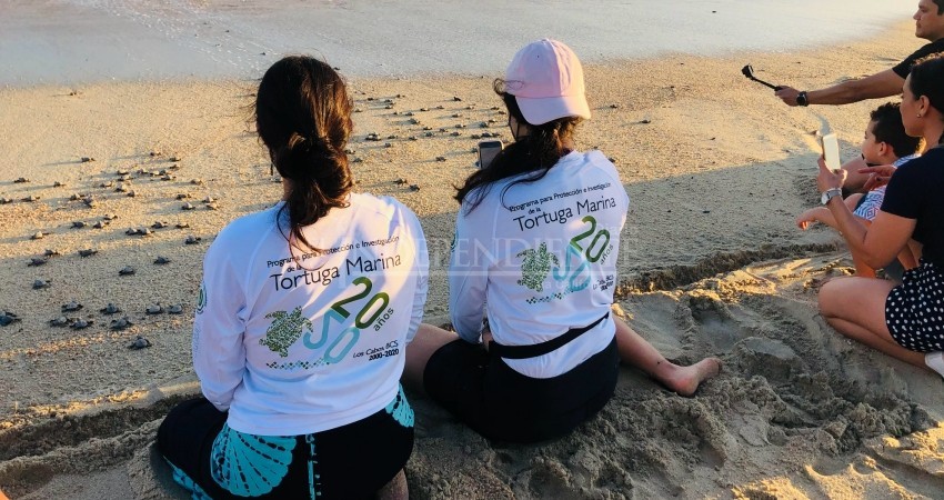 La pandemia ha fortalecido el cuidado de la naturaleza La pandemia ha fortalecido el cuidado de la naturaleza