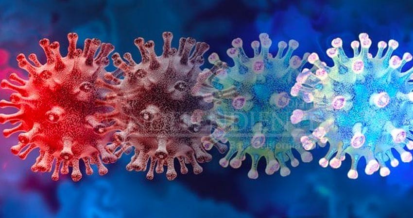 Variantes más “perruchas” de coronavirus ya circulan en BCS: SSA 