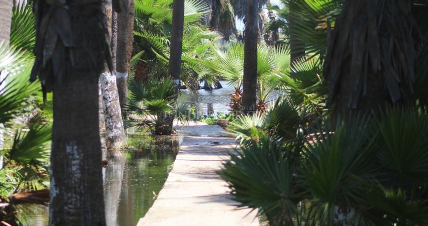 “Aunque el estero se ve recuperado, hay mucho por hacer”: regidor