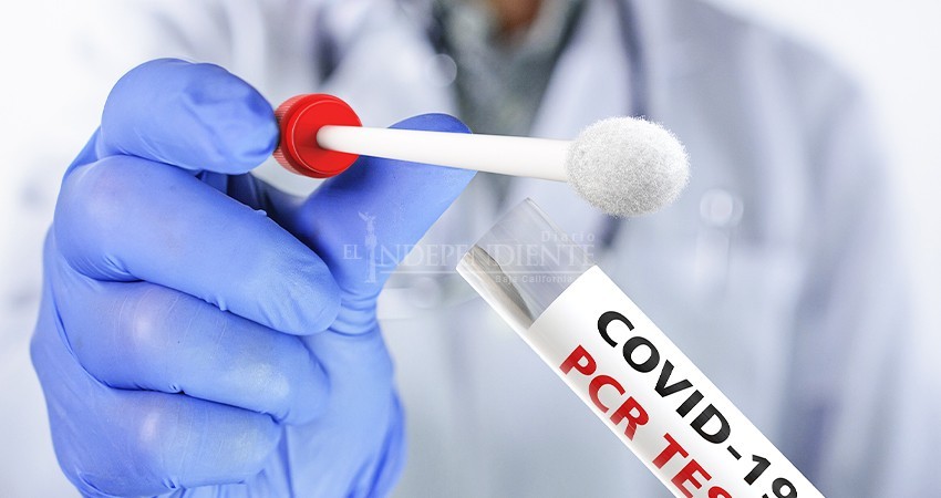 BCS no puede exigir al turismo extranjero prueba PCR para ingresar visitar Los Cabos: SSA BCS no puede exigir al turismo extranjero prueba PCR para ingresar visitar Los Cabos: SSA