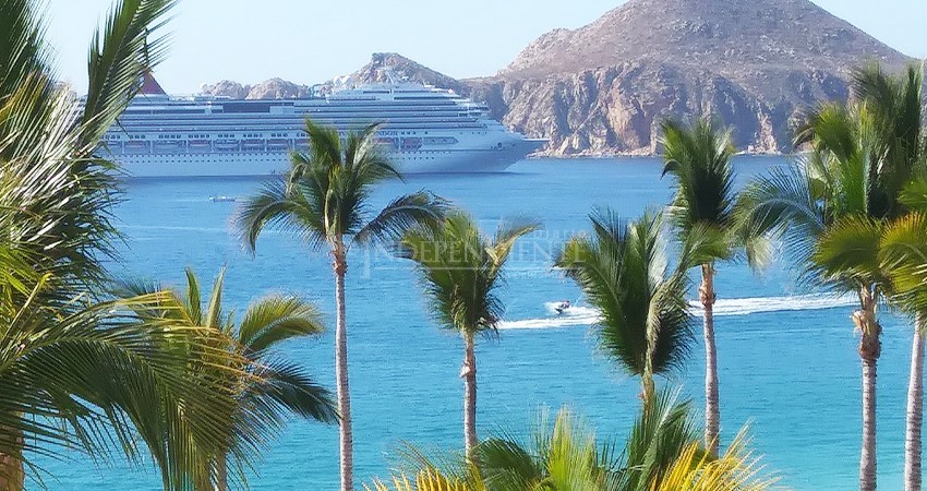 Con viajeros vacunados y pruebas negativas de Covid, en agosto regresan cruceros a CSL Con viajeros vacunados y pruebas negativas de Covid, en agosto regresan cruceros a CSL