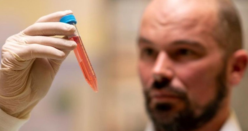 Esperanza contra el Parkinson: hidrogel aliviaría síntomas durante años