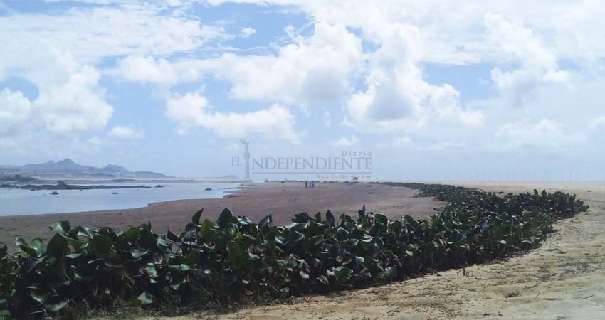 Se abrió la barra arenosa del Estero de SJC Se abrió la barra arenosa del Estero de SJC