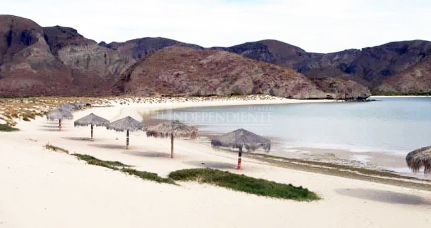 Se suma Ayuntamiento de La Paz al programa “Playas Sustentables para Todos”