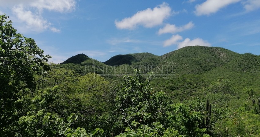 Trabaja Turismo Municipal en la reactivación de "Ruta de la Plata"