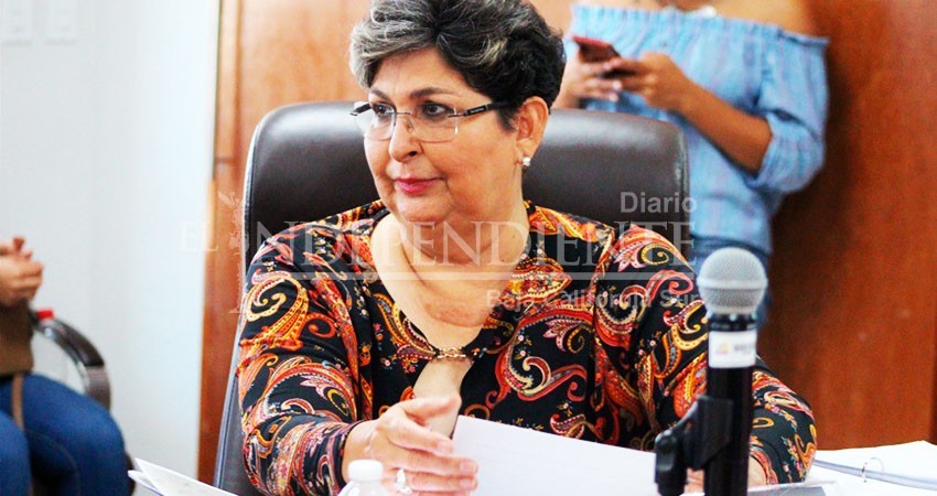 Cabildo se opone a la extinción de la red para la protección contra la tortuga marina Cabildo se opone a la extinción de la red para la protección contra la tortuga marina