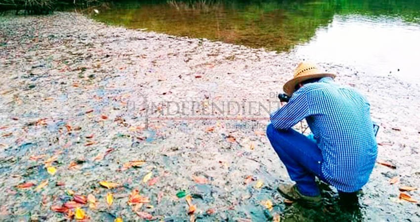 Invita UABCS a sus seminarios virtuales sobre agua Invita UABCS a sus seminarios virtuales sobre agua