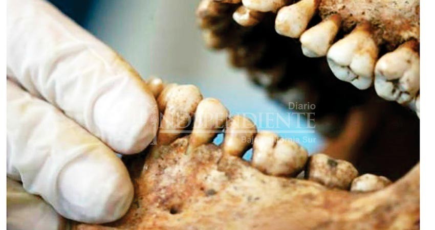 PGJE cuenta con perfil genético de todos los cuerpos en panteón forense PGJE cuenta con perfil genético de todos los cuerpos en panteón forense