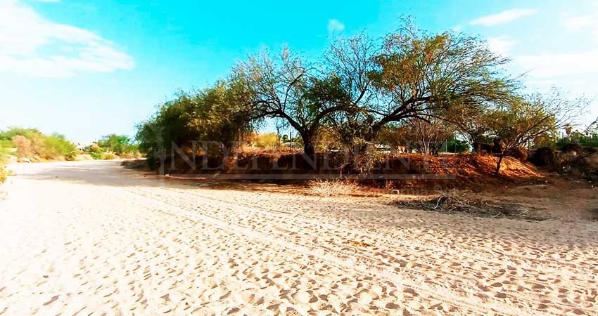 Trabaja UABCS proyecto de prevención de riesgos hidrometeorológicos en su campus central