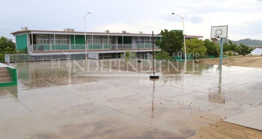 Tajante y cuadrado el regreso a las aulas propuesto por la SEP: magisterio