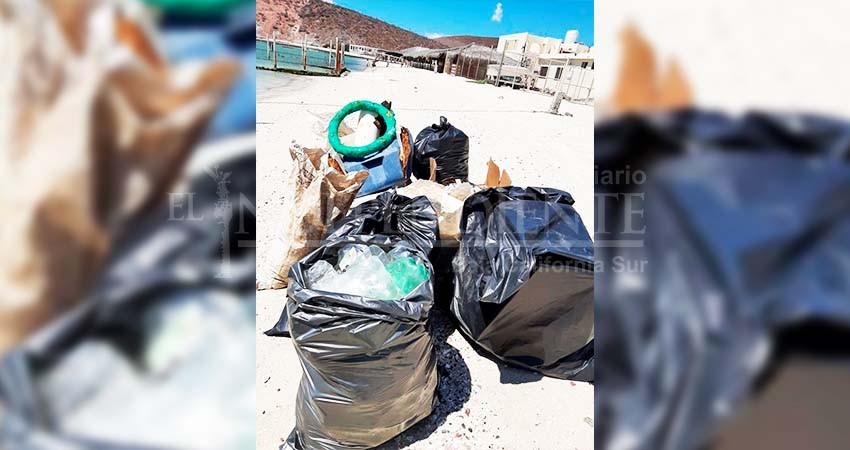 Cerca de 600 kilos de basura se recogieron en Isla Espíritu Santo