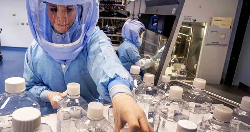 OMS anuncia fin de 'brote' del virus de Marburgo ocurrido en Guinea