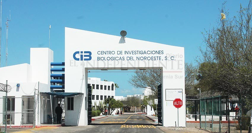 FGR persigue a investigador sudcaliforniano y a otros 30 por “delicuencia organizada”