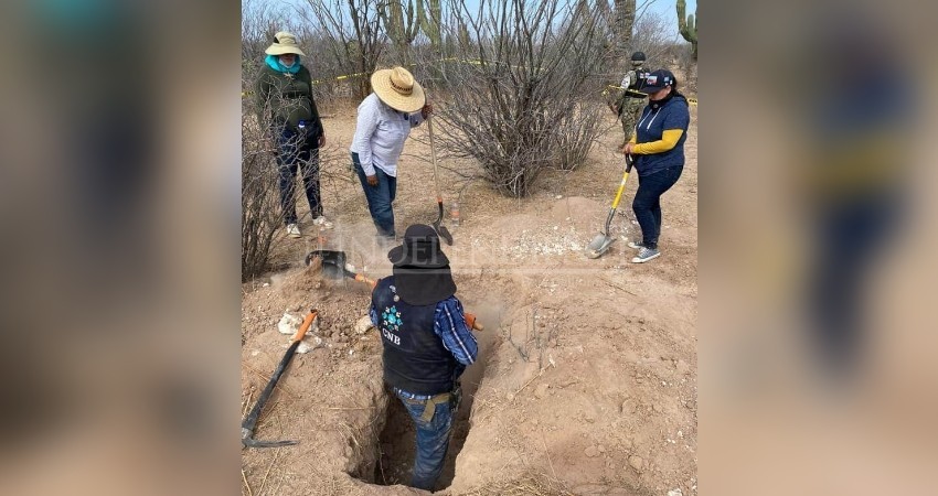 Registra Comisión de Búsqueda 490 desaparecidos en BCS