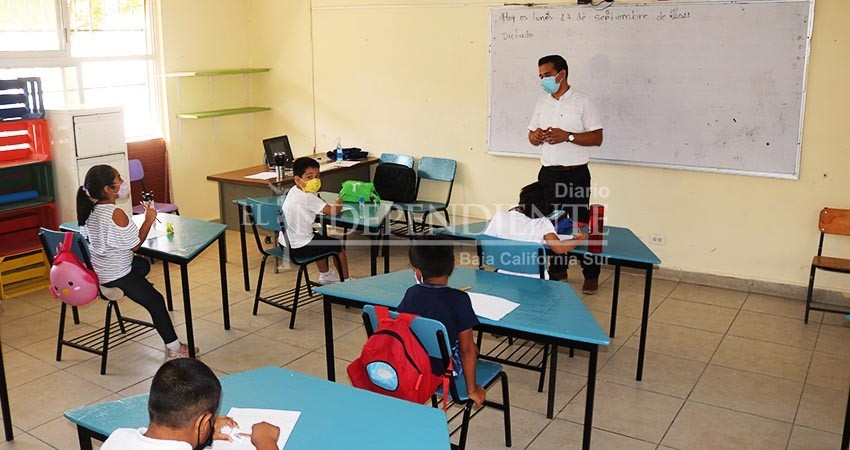 Suman ya 400 las escuelas de nivel básico que ofrecen clases presenciales en BCS