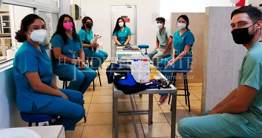 Inicia UABCS con sus primeras prácticas académicas presenciales