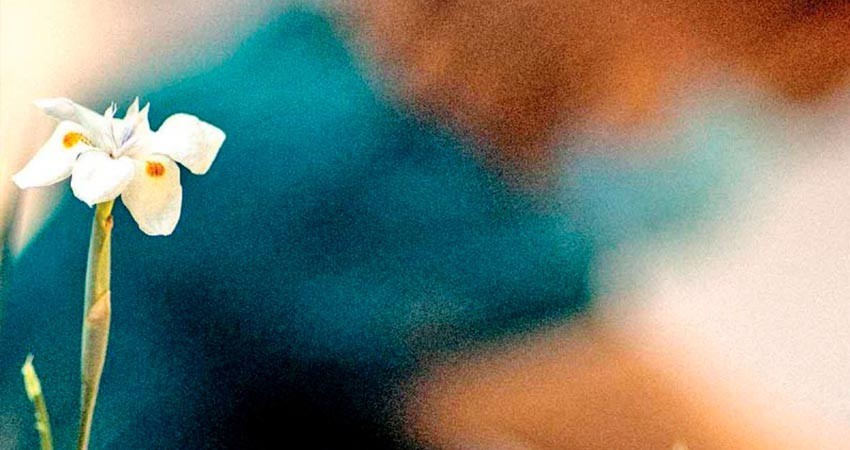 Depresión, la otra ‘gran pandemia’; ‘creció un 16% aproximadamente'