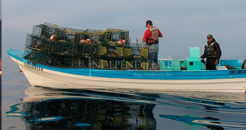 Está muy afectado el sector pesquero y agropecuario de BCS
