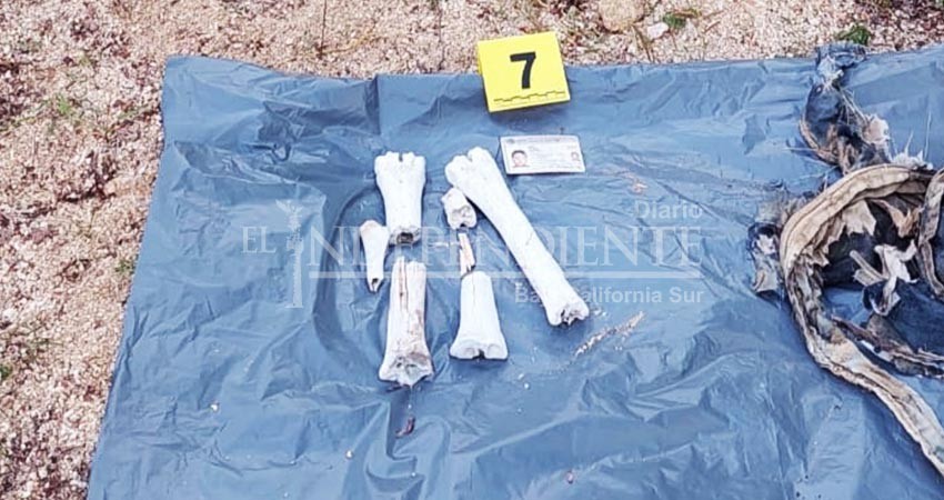 Colectivo de búsqueda encontró osamentas humanas en arroyo El Tule