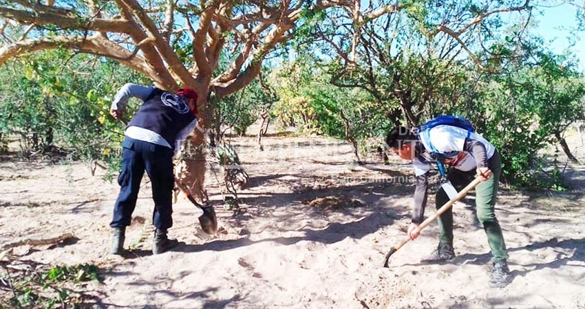 Desde el 2017 busca a su madre; desde el año pasado a su padre 