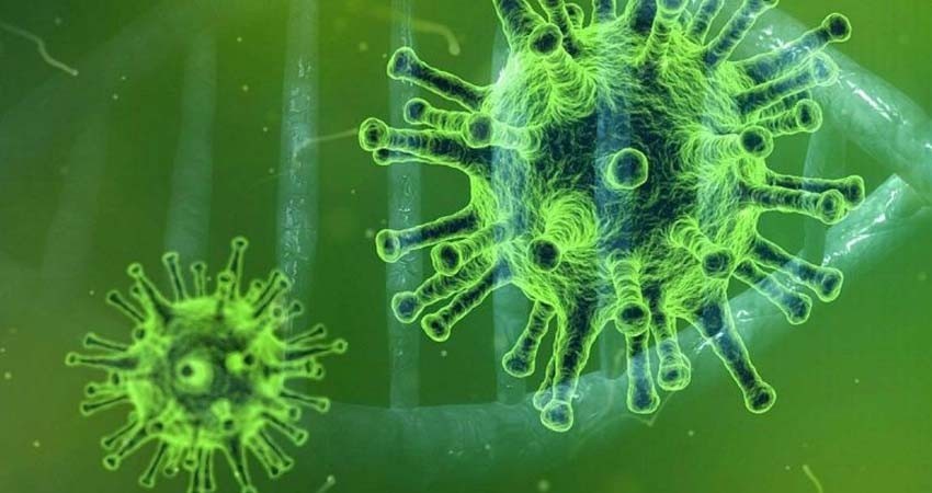 Investigadores descubren nuevos objetivos para crear futuras vacunas contra covid Investigadores descubren nuevos objetivos para crear futuras vacunas contra covid