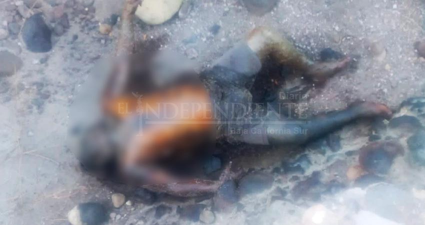 Encuentran cuerpo sin vida detrás del cerro de la calavera Encuentran cuerpo sin vida detrás del cerro de la calavera