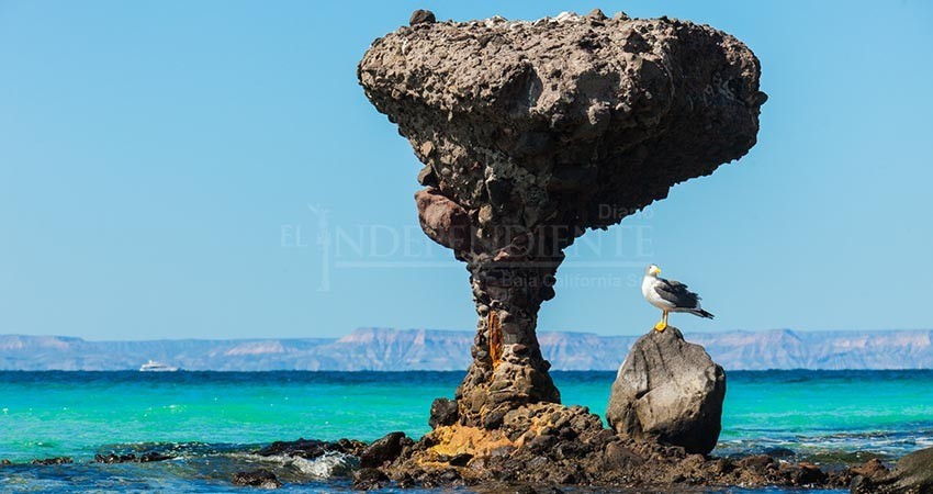 Reconocen a Balandra como la mejor playa de México Reconocen a Balandra como la mejor playa de México