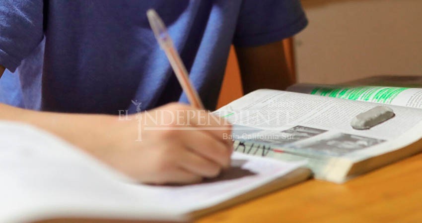 Más de 4 mil estudiantes reciben becas del gobierno de BCS