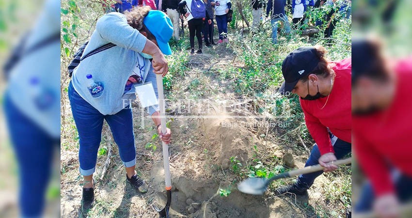 Continúa en BCS la Brigada Nacional en busca de personas desaparecidas Continúa en BCS la Brigada Nacional en busca de personas desaparecidas