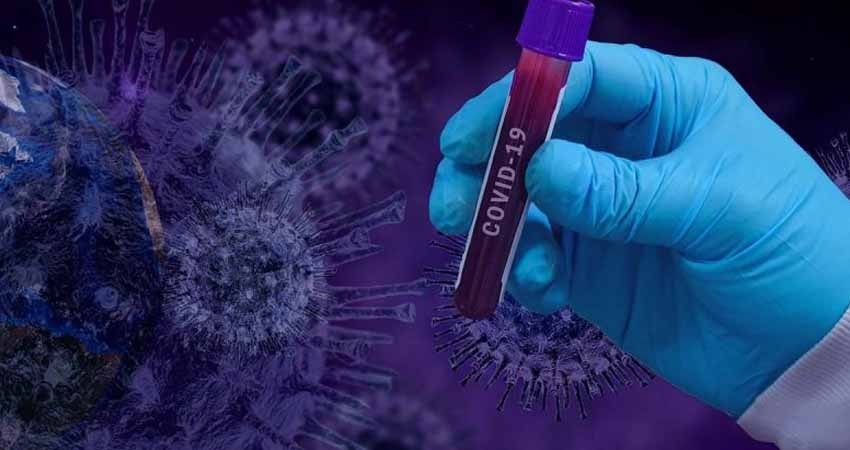 Así es la contagiosa nueva variante del covid hallada en Sudáfrica Así es la contagiosa nueva variante del covid hallada en Sudáfrica