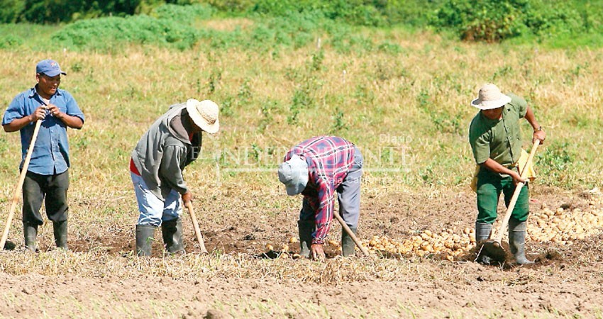 Denuncian productores de Santo Domingo trato prepotente e intimidación de parte de la Conagua
