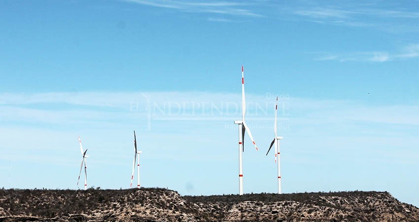 Pese a polémica, Reforma Eléctrica sería positiva para BCS en materia de energía limpia: Experta