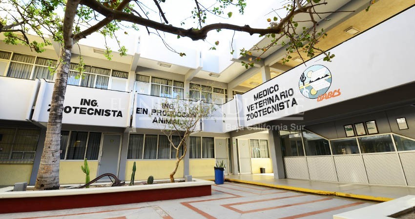 UABCS inicia su periodo vacacional a partir de este jueves