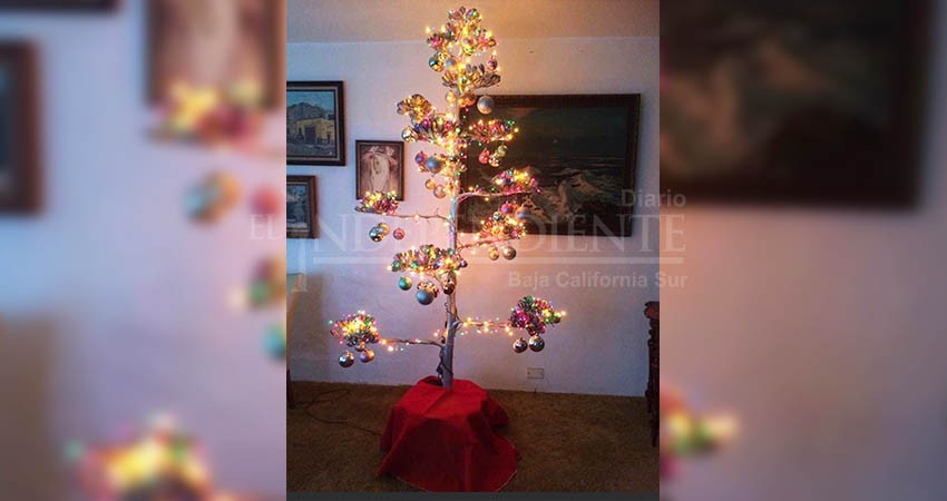 Promueven en redes sociales el árbol de navidad “choyero”
