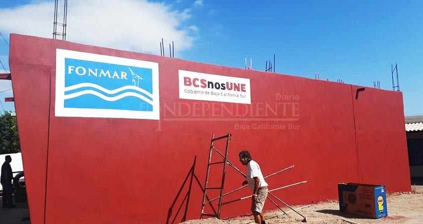 Destapan posible desvió de recursos y asociación delictuosa al interior del Fonmar