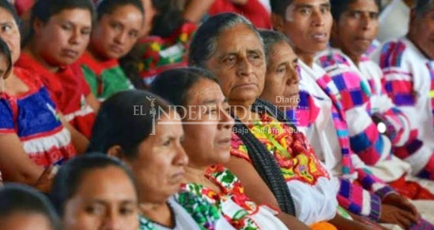 Más de la mitad de los indígenas en BCS viven en Los Cabos; buscarán más apoyo desde el ayuntamiento