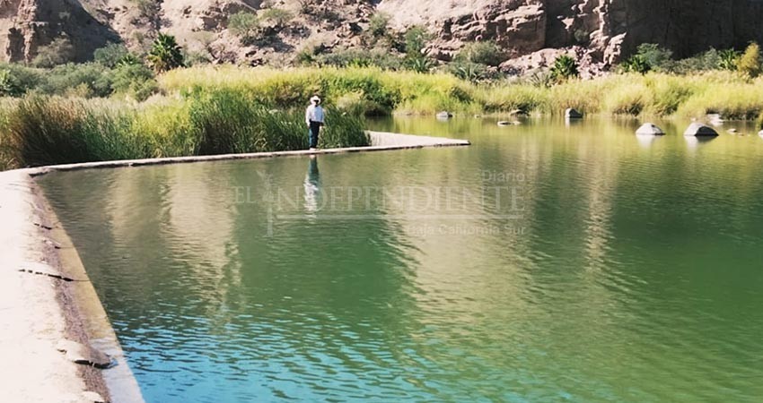 Impulsará SEPADA programa para producción de peces de ornato