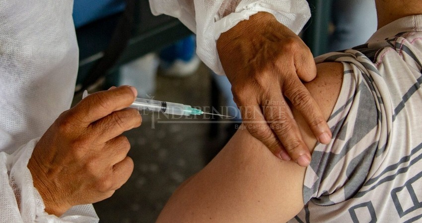 Insiste SSA en que la población debe iniciar o en su caso completar su esquema de vacunación contra Covid-19 Insiste SSA en que la población debe iniciar o en su caso completar su esquema de vacunación contra Covid-19