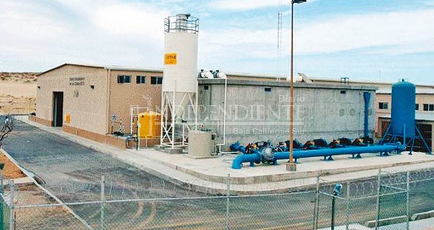 En febrero pondrán piedra de la desaladora de CSL, asegura Leggs