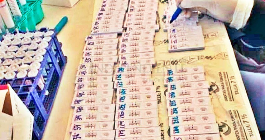 Especulan con precio de pruebas covid, Profeco pide denunciar prácticas irregulares