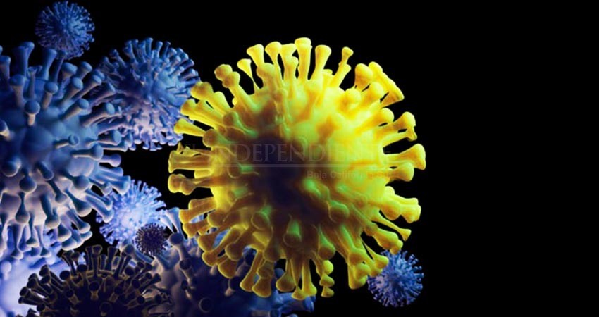 Advierte OMS que ómicron no será la última variante