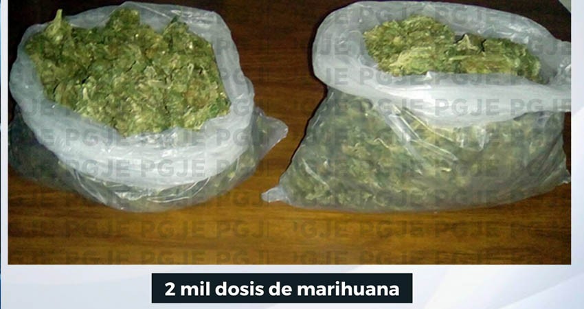 Interceptan droga que era enviada por paquetería en La Paz Interceptan droga que era enviada por paquetería en La Paz