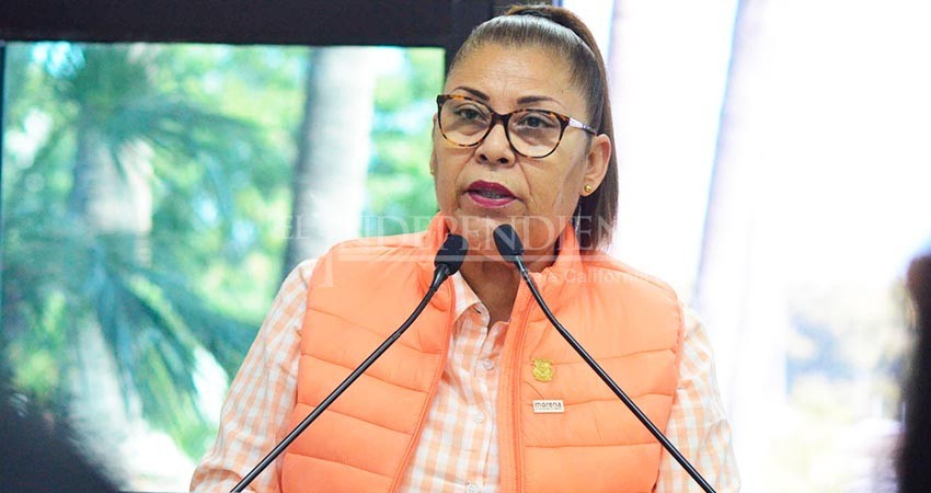 Más políticas públicas que prevengan la mortandad infantil por cardiopatías congénitas, pide la dip Moreno Higuera