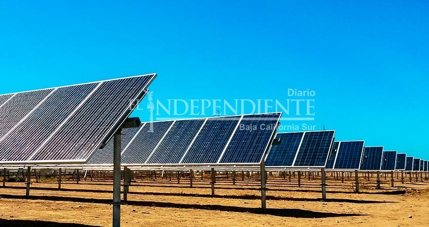 Las energías limpias son el futuro de BCS: Maribel Collins Las energías limpias son el futuro de BCS: Maribel Collins