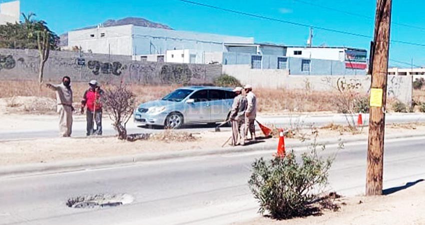 Posponen hasta el mes de abril Programa  Empleo Temporal en Servicios Públicos de Los Cabos