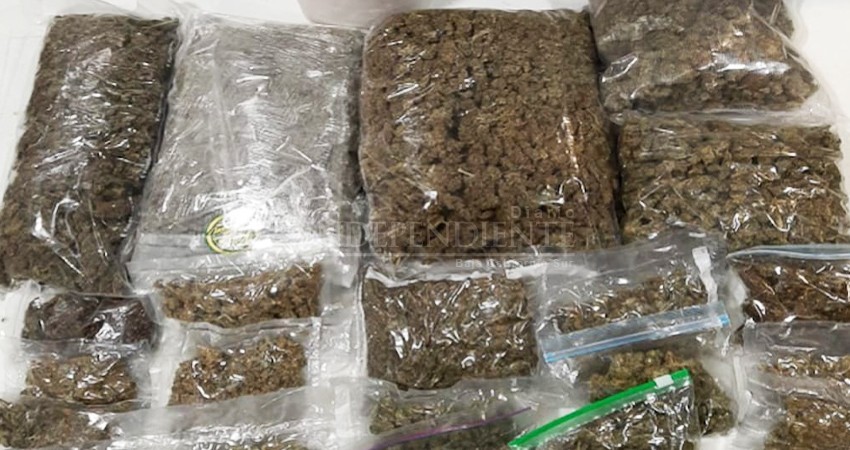 Mediante orden de cateo aseguran  46 mil dosis de droga en Los Cabos