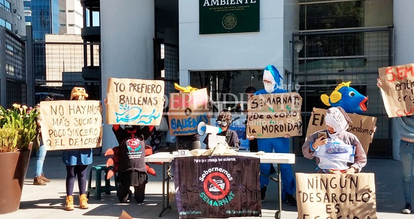 Oposición al turismo de cruceros en La Paz llega hasta la capital del país