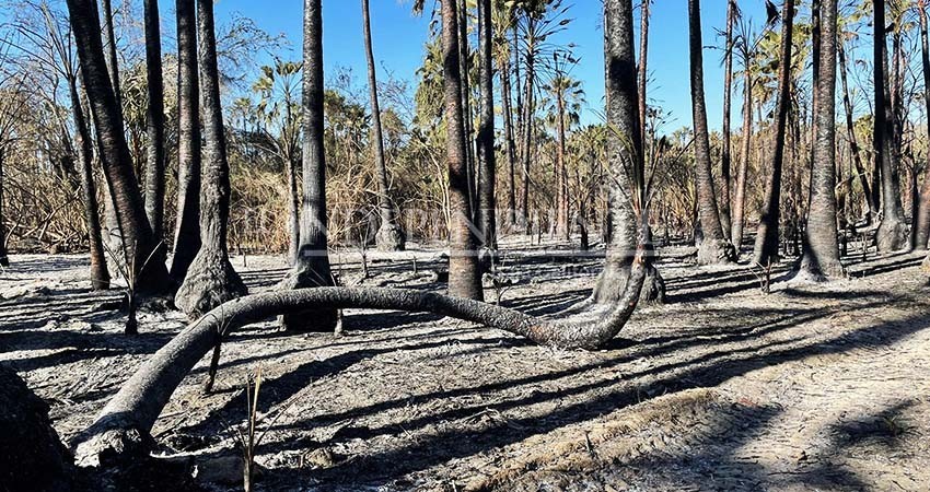 De las llamas a las cenizas; familias de Santiago empezarán de cero