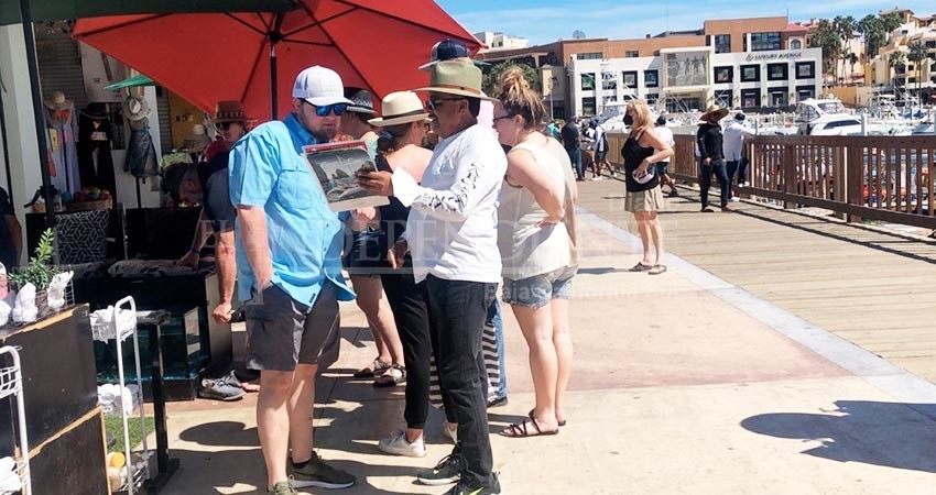 Confirma el CCC la presencia de coyotes en la Marina